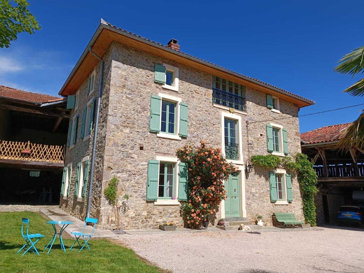 Montgaillard-de-Salies Baladous Bed & Breakfast エクステリア 写真