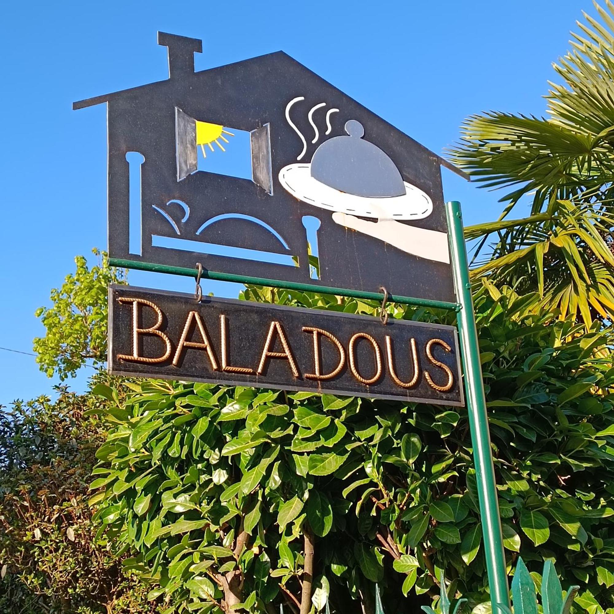 Montgaillard-de-Salies Baladous Bed & Breakfast エクステリア 写真